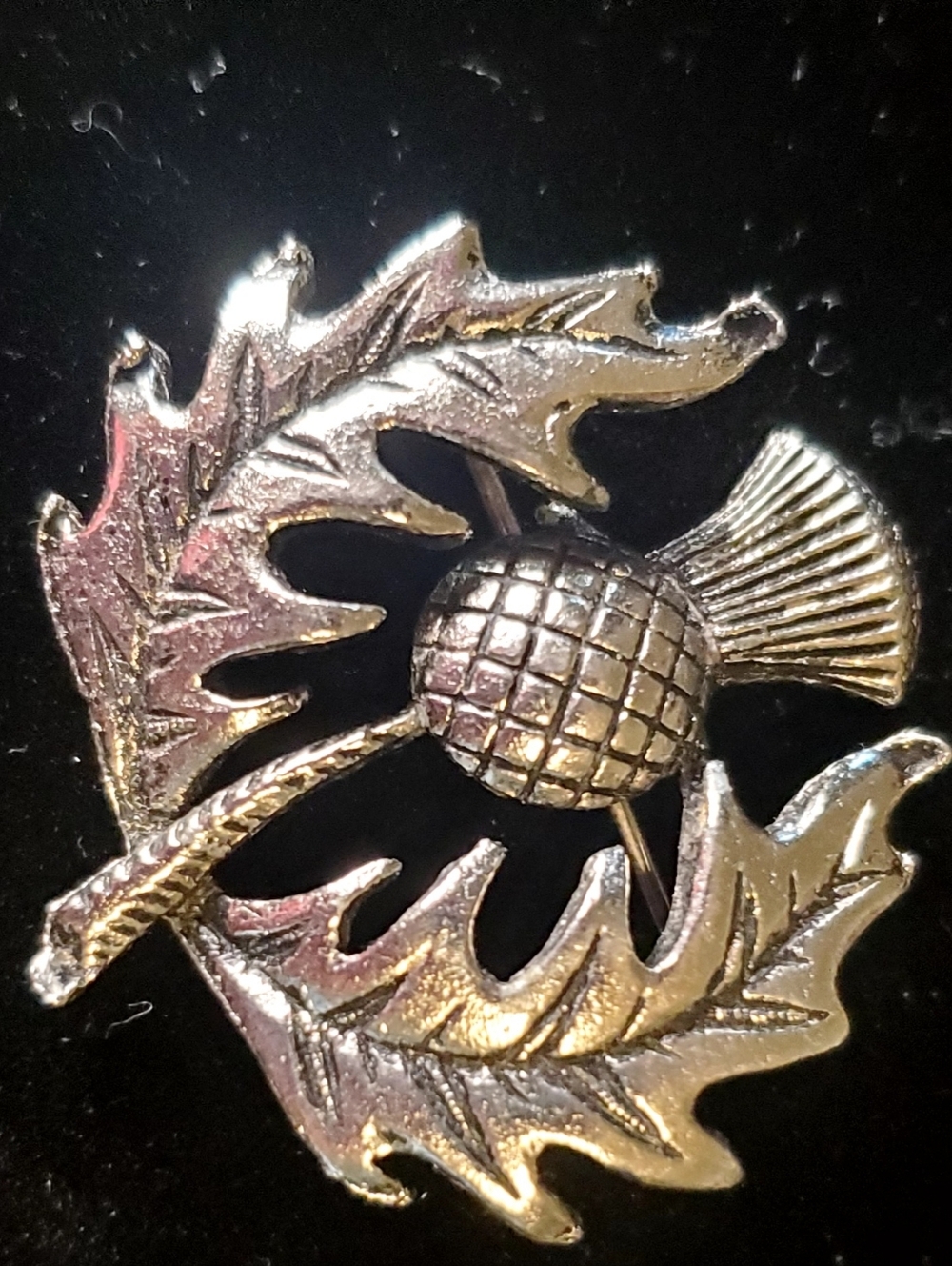 Source Unknown Silver Thistle Pin Brooch